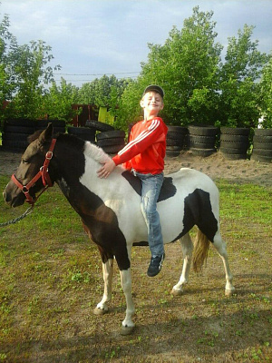 Конная прогулка в Липецке. Подарочные сертификаты Ultra Подарки. Купить оригинальный подарок или подарочный сертификат на Конная прогулка в Липецке. Сервис UltraPodarki.ru 8-800-505-9530. Катание на лошадях, Прогулка на лошади, Прогулка на лошадях для двоих, Конная прогулка, конный клуб, Конный клуб Гиппа, конная прогулка, конная прогулка в Липецке