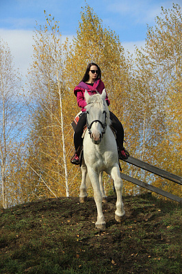 Конная прогулка в Липецке. Подарочные сертификаты Ultra Подарки. Купить оригинальный подарок или подарочный сертификат на Конная прогулка в Липецке. Сервис UltraPodarki.ru 8-800-505-9530. Катание на лошадях, Прогулка на лошади, Прогулка на лошадях для двоих, Конная прогулка, конный клуб, Конный клуб Гиппа, конная прогулка, конная прогулка в Липецке