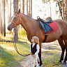 Конная прогулка #в Липецке#. Подарочные сертификаты Ultra Подарки. Купить оригинальный подарок или подарочный сертификат на Конная прогулка #в Липецке#. Сервис UltraPodarki.ru 8-800-505-9530. Катание на лошадях, Прогулка на лошади, Прогулка на лошадях для двоих, Конная прогулка, конный клуб, Конный клуб Гиппа, конная прогулка, конная прогулка в Липецке