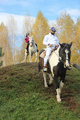 Конная прогулка в Липецке. Подарочные сертификаты Ultra Подарки. Купить оригинальный подарок или подарочный сертификат на Конная прогулка в Липецке. Сервис UltraPodarki.ru 8-800-505-9530. Катание на лошадях, Прогулка на лошади, Прогулка на лошадях для двоих, Конная прогулка, конный клуб, Конный клуб Гиппа, конная прогулка, конная прогулка в Липецке