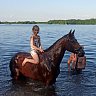 Конная прогулка #в Липецке#. Подарочные сертификаты Ultra Подарки. Купить оригинальный подарок или подарочный сертификат на Конная прогулка #в Липецке#. Сервис UltraPodarki.ru 8-800-505-9530. Катание на лошадях, Прогулка на лошади, Прогулка на лошадях для двоих, Конная прогулка, конный клуб, Конный клуб Гиппа, конная прогулка, конная прогулка в Липецке