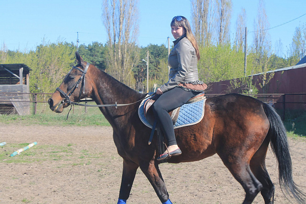 Конная прогулка в Липецке. Подарочные сертификаты Ultra Подарки. Купить оригинальный подарок или подарочный сертификат на Конная прогулка в Липецке. Сервис UltraPodarki.ru 8-800-505-9530. Катание на лошадях, Прогулка на лошади, Прогулка на лошадях для двоих, Конная прогулка, конный клуб, Конный клуб Гиппа, конная прогулка, конная прогулка в Липецке