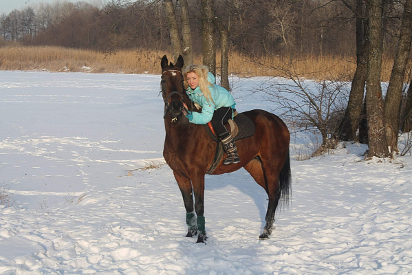 Конная прогулка в Липецке. Подарочные сертификаты Ultra Подарки. Купить оригинальный подарок или подарочный сертификат на Конная прогулка в Липецке. Сервис UltraPodarki.ru 8-800-505-9530. Катание на лошадях, Прогулка на лошади, Прогулка на лошадях для двоих, Конная прогулка, конный клуб, Конный клуб Гиппа, конная прогулка, конная прогулка в Липецке