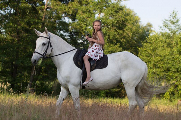 Конная прогулка в Липецке. Подарочные сертификаты Ultra Подарки. Купить оригинальный подарок или подарочный сертификат на Конная прогулка в Липецке. Сервис UltraPodarki.ru 8-800-505-9530. Катание на лошадях, Прогулка на лошади, Прогулка на лошадях для двоих, Конная прогулка, конный клуб, Конный клуб Гиппа, конная прогулка, конная прогулка в Липецке