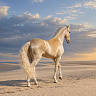 Конная прогулка #в Липецке#. Подарочные сертификаты Ultra Подарки. Купить оригинальный подарок или подарочный сертификат на Конная прогулка #в Липецке#. Сервис UltraPodarki.ru 8-800-505-9530. Катание на лошадях, Прогулка на лошади, Прогулка на лошадях для двоих, Конная прогулка, конный клуб, Конный клуб Гиппа, конная прогулка, конная прогулка в Липецке