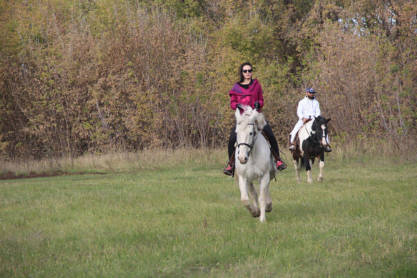 Конная прогулка в Липецке. Подарочные сертификаты Ultra Подарки. Купить оригинальный подарок или подарочный сертификат на Конная прогулка в Липецке. Сервис UltraPodarki.ru 8-800-505-9530. Катание на лошадях, Прогулка на лошади, Прогулка на лошадях для двоих, Конная прогулка, конный клуб, Конный клуб Гиппа, конная прогулка, конная прогулка в Липецке