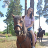 Конная прогулка #в Липецке#. Подарочные сертификаты Ultra Подарки. Купить оригинальный подарок или подарочный сертификат на Конная прогулка #в Липецке#. Сервис UltraPodarki.ru 8-800-505-9530. Катание на лошадях, Прогулка на лошади, Прогулка на лошадях для двоих, Конная прогулка, конный клуб, Конный клуб Гиппа, конная прогулка, конная прогулка в Липецке
