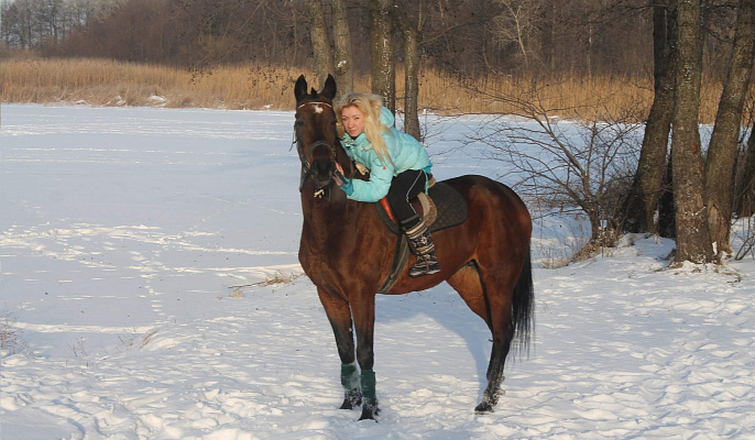 Конная прогулка в Липецке. Подарочные сертификаты Ultra Подарки. Купить оригинальный подарок или подарочный сертификат на Конная прогулка в Липецке. Сервис UltraPodarki.ru 8-800-505-9530. Катание на лошадях, Прогулка на лошади, Прогулка на лошадях для двоих, Конная прогулка, конный клуб, Конный клуб Гиппа, конная прогулка, конная прогулка в Липецке