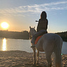 Конная прогулка #в Липецке#. Подарочные сертификаты Ultra Подарки. Купить оригинальный подарок или подарочный сертификат на Конная прогулка #в Липецке#. Сервис UltraPodarki.ru 8-800-505-9530. Катание на лошадях, Прогулка на лошади, Прогулка на лошадях для двоих, Конная прогулка, конный клуб, Конный клуб Гиппа, конная прогулка, конная прогулка в Липецке