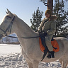 Конная прогулка #в Липецке#. Подарочные сертификаты Ultra Подарки. Купить оригинальный подарок или подарочный сертификат на Конная прогулка #в Липецке#. Сервис UltraPodarki.ru 8-800-505-9530. Катание на лошадях, Прогулка на лошади, Прогулка на лошадях для двоих, Конная прогулка, конный клуб, Конный клуб Гиппа, конная прогулка, конная прогулка в Липецке